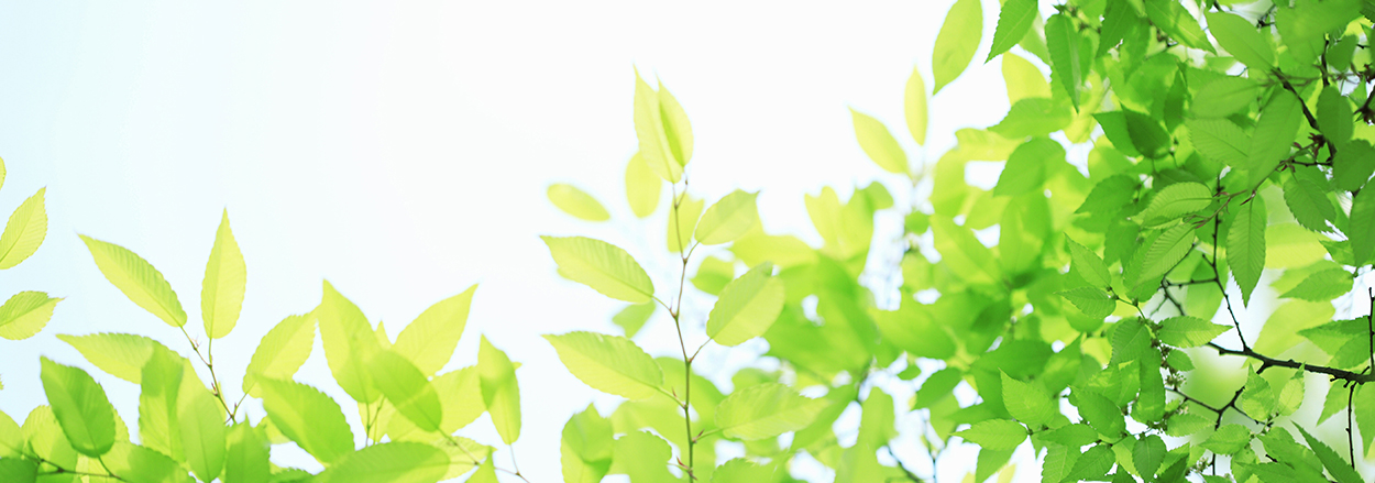 ASCENT MENTAL CLINIC saginuma
・宮前区鷺沼